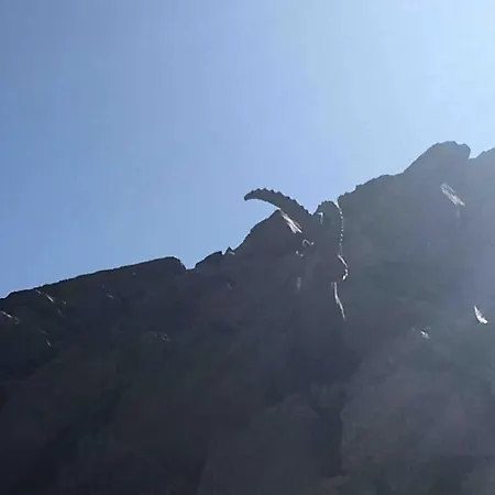 « le Faucon Pelerin » Vue Magnifique Au Calme