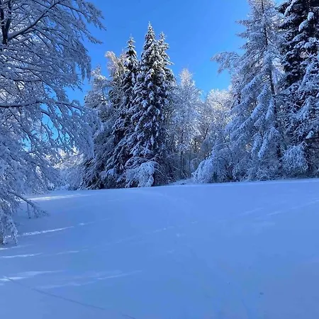 « le Faucon Pelerin » Vue Magnifique Au Calme Holiday home